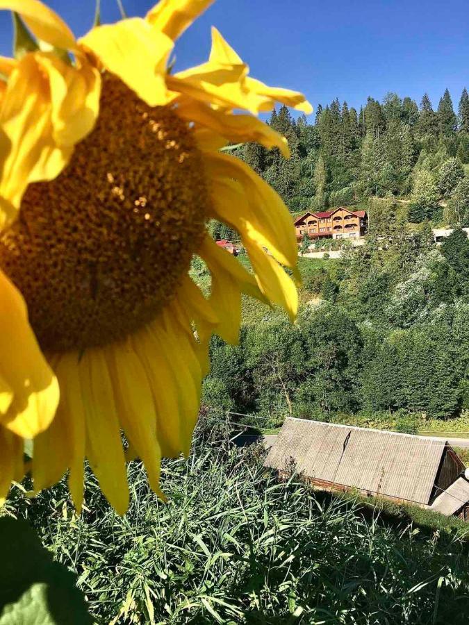 Privatna Sadiba Chalet オリアウチック エクステリア 写真