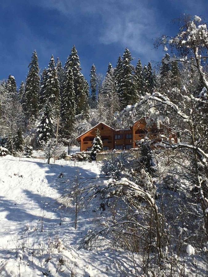 Privatna Sadiba Chalet オリアウチック エクステリア 写真