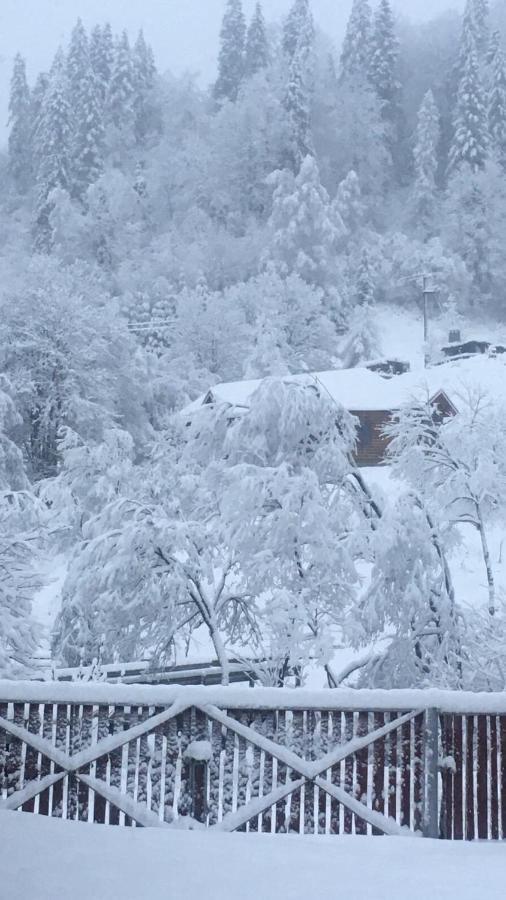 Privatna Sadiba Chalet オリアウチック エクステリア 写真